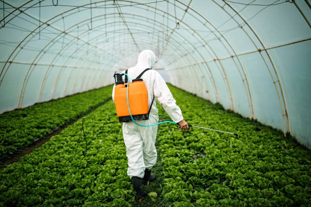 Best Pest Control Cost  in Coopertown, TN