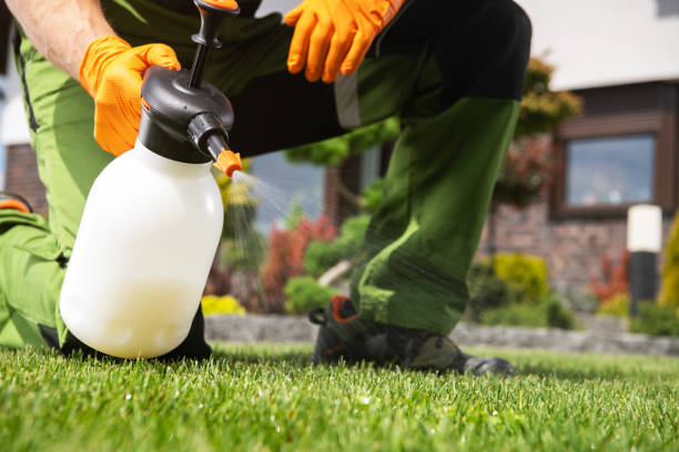 Best Wildlife Control Services  in Coopertown, TN