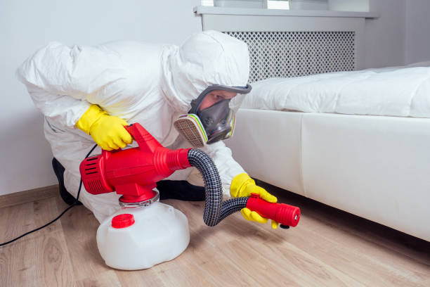 Best Wasp Removal Services  in Coopertown, TN