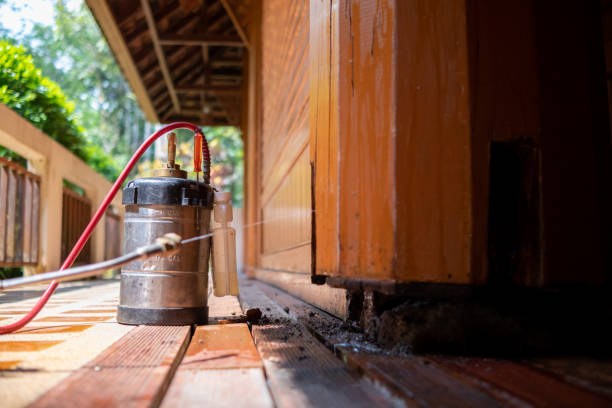 Best Pest Removal Services  in Coopertown, TN