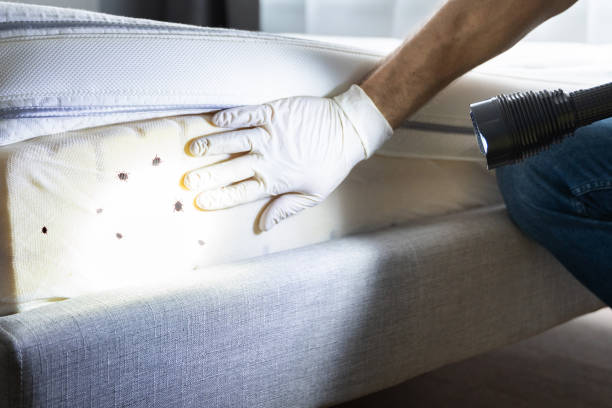 Best Affordable Pest Control Services  in Coopertown, TN