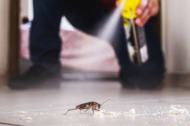 Best Best Pest Control Companies  in Coopertown, TN