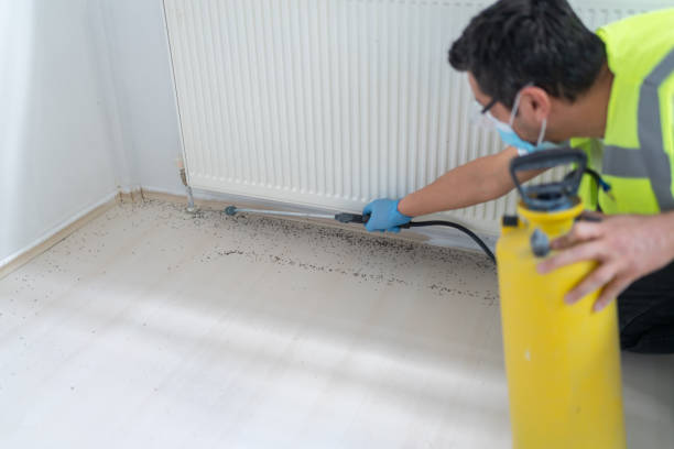Best Ant Control Services  in Coopertown, TN