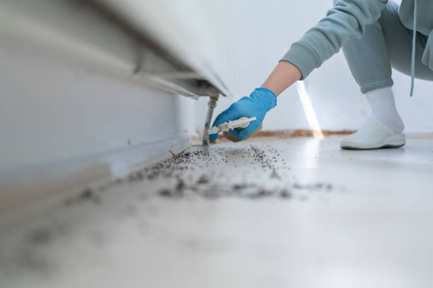 Best Insect Control  in Coopertown, TN
