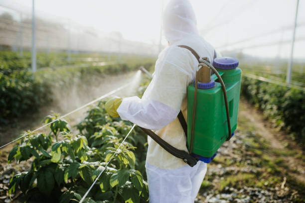 Best Affordable Pest Control Services  in Coopertown, TN